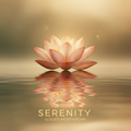 Morning Calm Meditation
